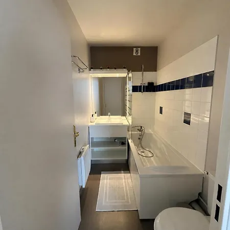 Le Petit Cozy Apartament Nancy